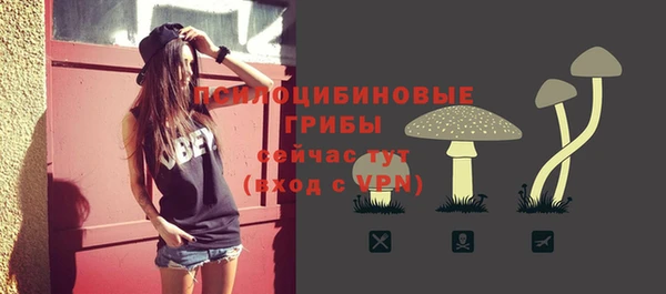 стафф Волосово