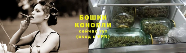 стафф Волосово