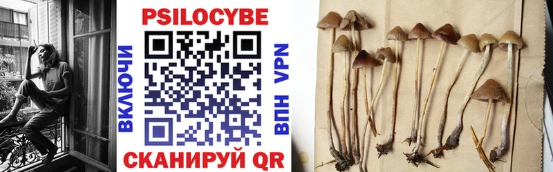 Псилоцибиновые грибы мицелий  Кемь 